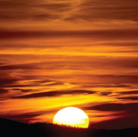 Sunset (Vertical)